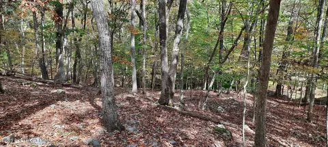 lot8 Sec 24 Decker Rd, Bushkill, PA 18324 photo 4
