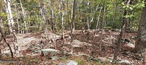 lot8 Sec 24 Decker Rd, Bushkill, PA 18324 photo 5