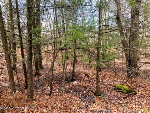 10 Driftwood Rd, Blakeslee, PA 18610