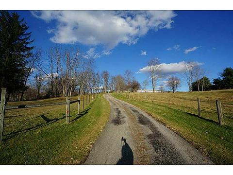 852 Sugar Run Rd, Eighty Four, PA 15330 photo 14