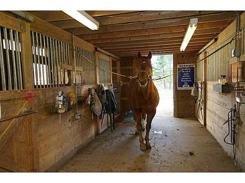 852 Sugar Run Rd, Eighty Four, PA 15330 photo 12