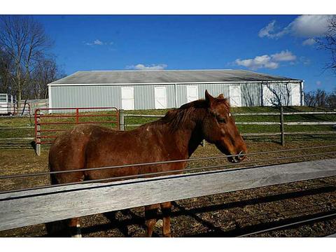 852 Sugar Run Rd, Eighty Four, PA 15330 photo 13