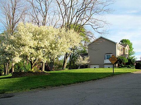 7 Veltri, Washington, PA 15301 photo 13