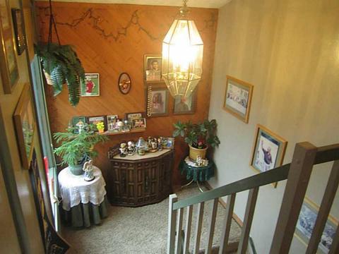 301 Williamsburg Ln, Export, PA 15632 photo 15
