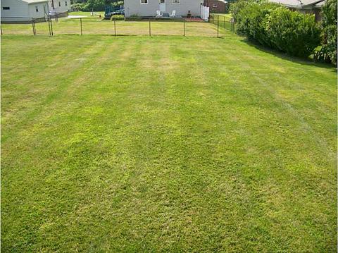 1190 Ella St, Monaca, PA 15061 photo 15