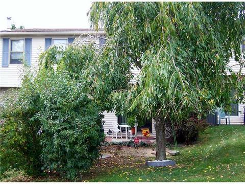 102 Mosside Loop, Seven Fields, PA 16046 photo 16