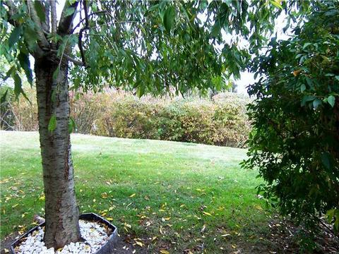 102 Mosside Loop, Seven Fields, PA 16046 photo 19