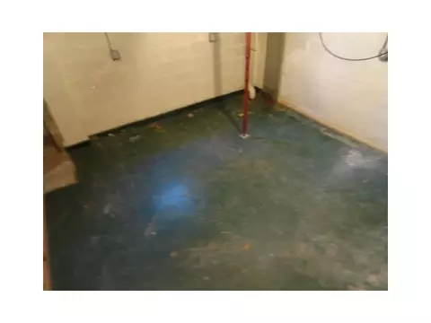4907 Simmons Cir, Export, PA 15632 photo 21