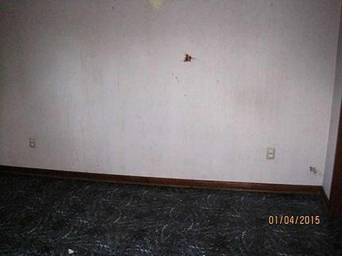 147 Camp Ave, Braddock, PA 15104 photo 8