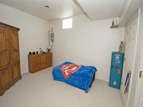 481 Corey Dr, Irwin, PA 15642 photo 15