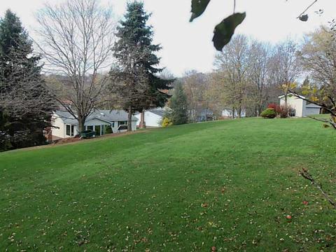 7 Mallard Ct, Export, PA 15632 photo 23
