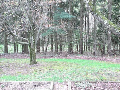 485 Lockwood Rd, Export, PA 15632 photo 3