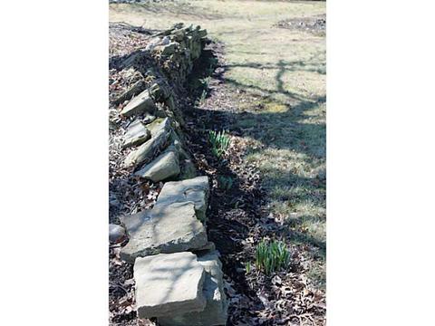 3172 Claudia St, Export, PA 15632 photo 13
