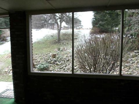16 Lorrie Dr, Irwin, PA 15642 photo 16