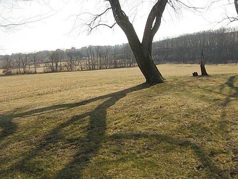 771 Mallard Dr, Apollo, PA 15613 photo 4