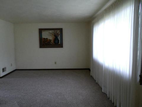 2357 Mt Vernon Dr, Export, PA 15632 photo 6