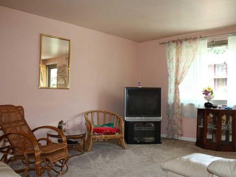 5047 Sequoia Ct, Export, PA 15632 photo 3
