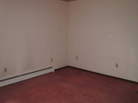 114 Knox, Apollo, PA 15613 photo 12