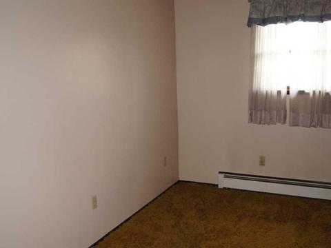 114 Knox, Apollo, PA 15613 photo 13