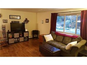 1667 Bernice Dr, Irwin, PA 15642 photo 11