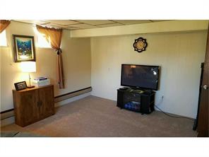 1667 Bernice Dr, Irwin, PA 15642 photo 22