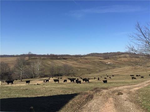 262 Caldwell Rd, Somerset Twp - Wsh, PA 15330 photo 25