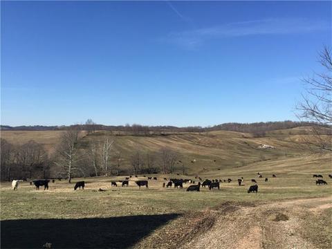 262 Caldwell Rd, Somerset Twp - Wsh, PA 15330 photo 22