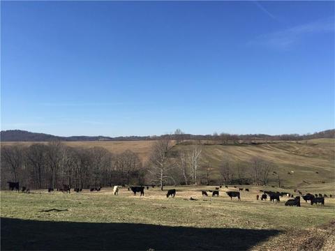 262 Caldwell Rd, Somerset Twp - Wsh, PA 15330 photo 2