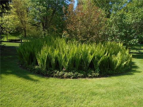 5801 Torrance, Export, PA 15632 photo 21