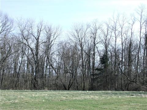 4082 Hilty Rd, Export, PA 15632 photo 21