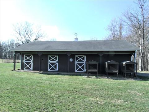 4082 Hilty Rd, Export, PA 15632 photo 19