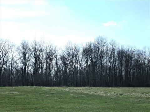 4082 Hilty Rd, Export, PA 15632 photo 20