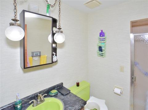 2379 Mount Vernon Ave, Export, PA 15632 photo 13