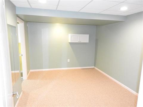 6904 Spring Valley Ln, Export, PA 15632 photo 20
