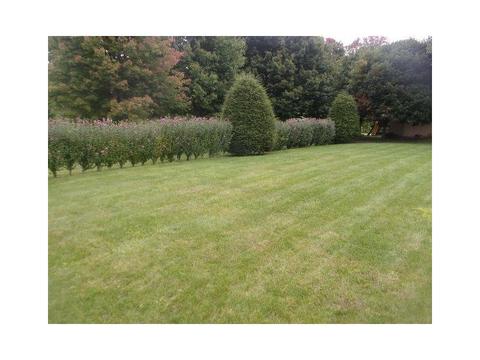 823 Maple St, Berlin, PA 15530 photo 5
