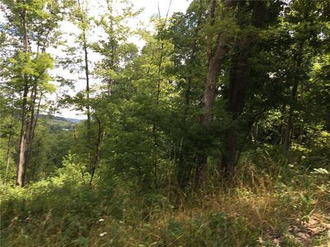 40 N Point Rd, Hamilton, PA 15744 photo 20