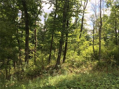 40 N Point Rd, Hamilton, PA 15744 photo 21