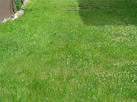 35 Miller Ave, Braddock, PA 15104 photo 25