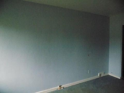 611 Turnpike St, Irwin, PA 15642 photo 9