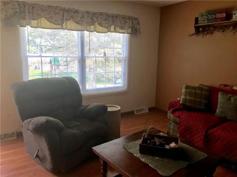102 Rush Ave, New Eagle, PA 15067 photo 3