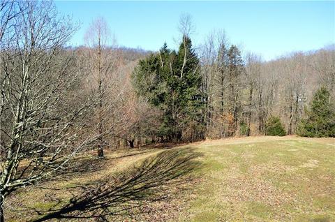 2898 Dirling Ln, Irwin, PA 15642 photo 24