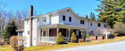 40 Mahoning Rd, Cherry Tree, PA 15724 photo 1