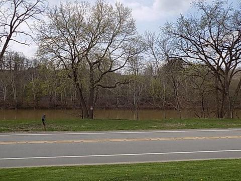 3040 River Rd, Vandergrift, PA 15690 photo 14