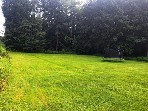 1416 Shawna Rd, Cherry Tree, PA 15724 photo 6