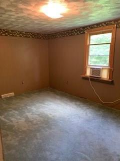 1438 Ridge Road Apollo, Apollo, PA 15613 photo 12