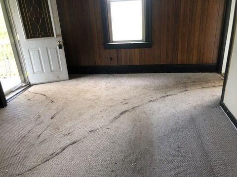 725 Colonial Ave, Monaca, PA 15061 photo 4