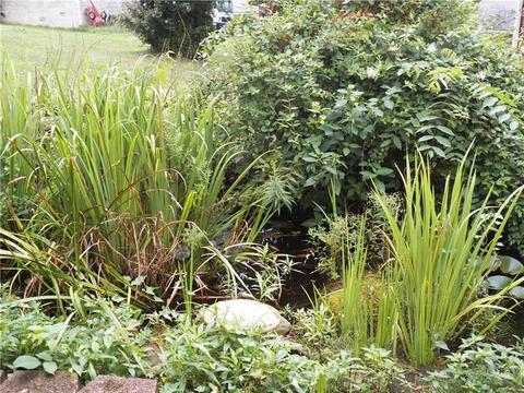 237 Old Mill Rd, Apollo, PA 15613 photo 18