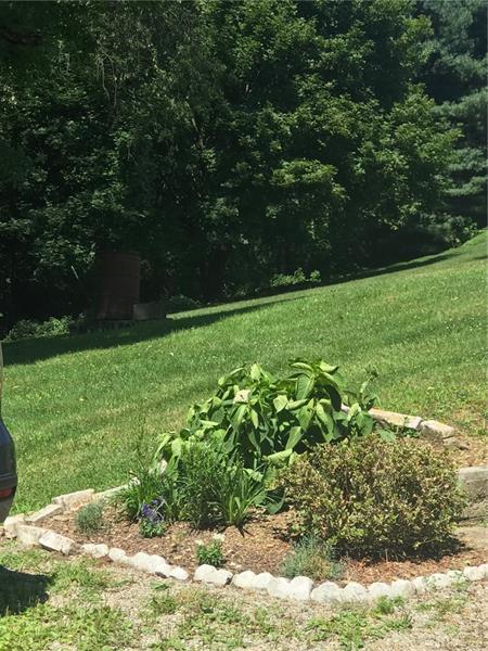 729 Old State Rd, Apollo, PA 15613 photo 6