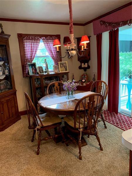 729 Old State Rd, Apollo, PA 15613 photo 17