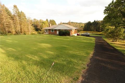 1238 Route 286, Export, PA 15632 photo 15